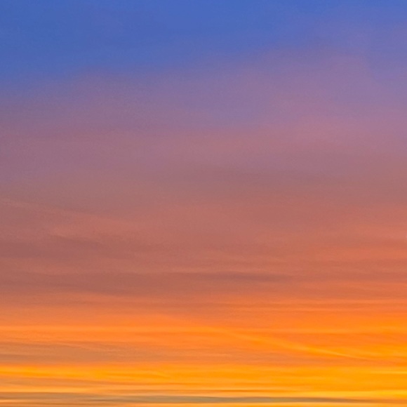 Meet your Posher, Emma - Picture 1 of 1